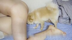 Hungry boyfriend pulls sleeping girlfriend without condom and penetration Thumb