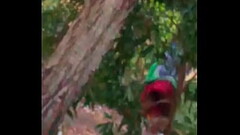 Indian maid aunty peeing outdoor-1 Thumb