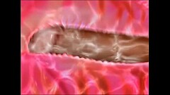2017-02-22 Untitled 01 Thumb