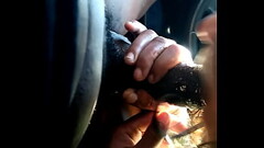 VID 20170219 150232 Thumb